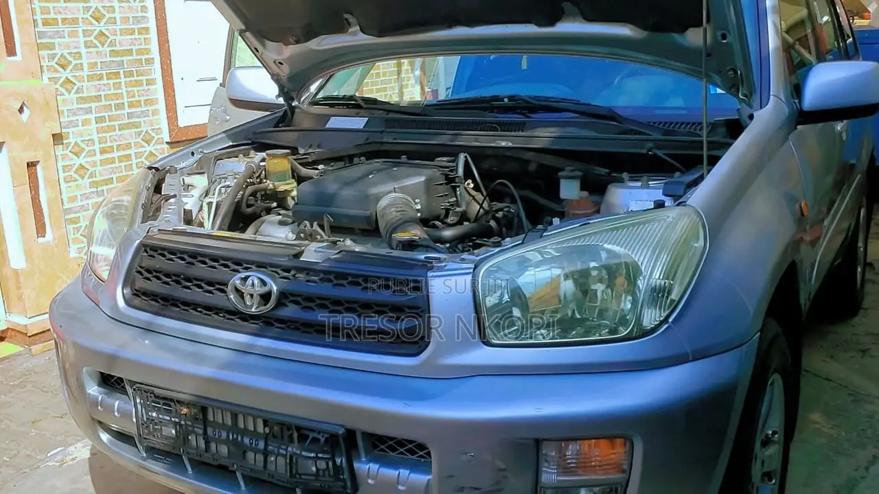 Toyota RAV4 Automatic 2002 Gris