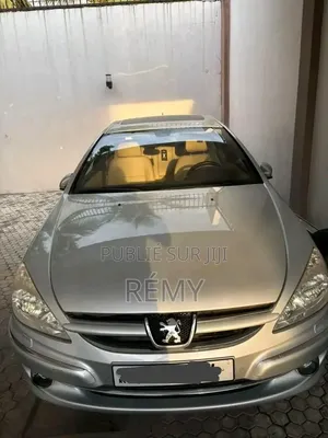 Peugeot 607 2025 Gris
