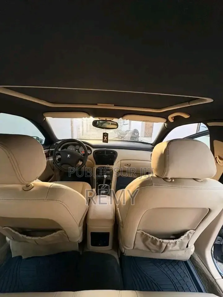 Peugeot 607 2025 Gris