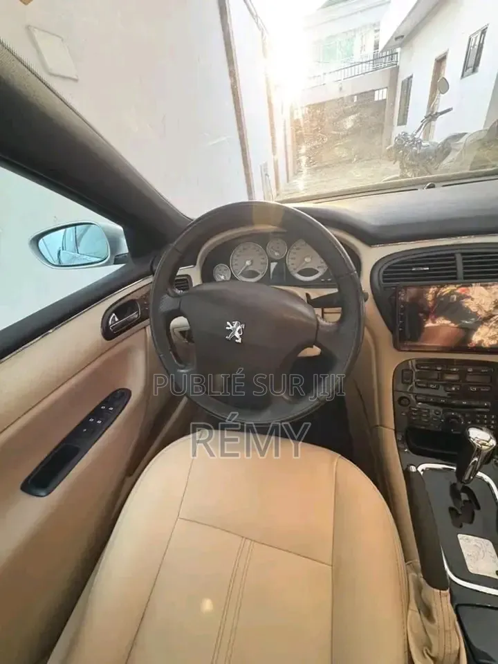 Peugeot 607 2025 Gris