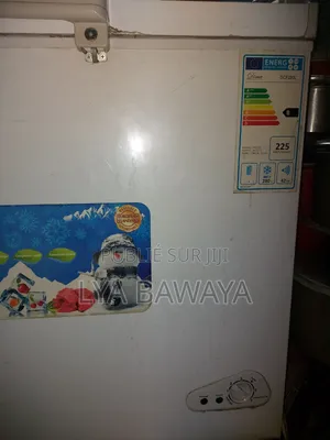 Congélateur À Vendre Marque Dima 280l, À Vendre en État !