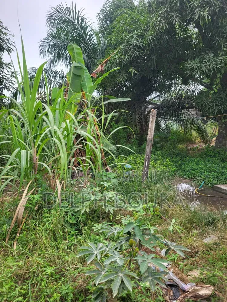 Deux Parcelles Jumelles a Vendre 1000m2 Avec Titre Foncier