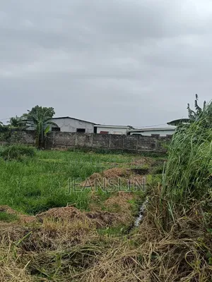 Trois(3) Parcelles Jumelles Avendre Au Quartier Ngoyo Ex Péage