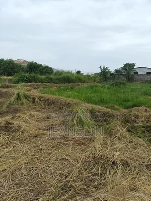 Trois(3) Parcelles Jumelles Avendre Au Quartier Ngoyo Ex Péage