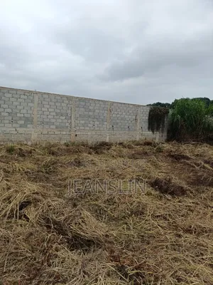 Trois(3) Parcelles Jumelles Avendre Au Quartier Ngoyo Ex Péage