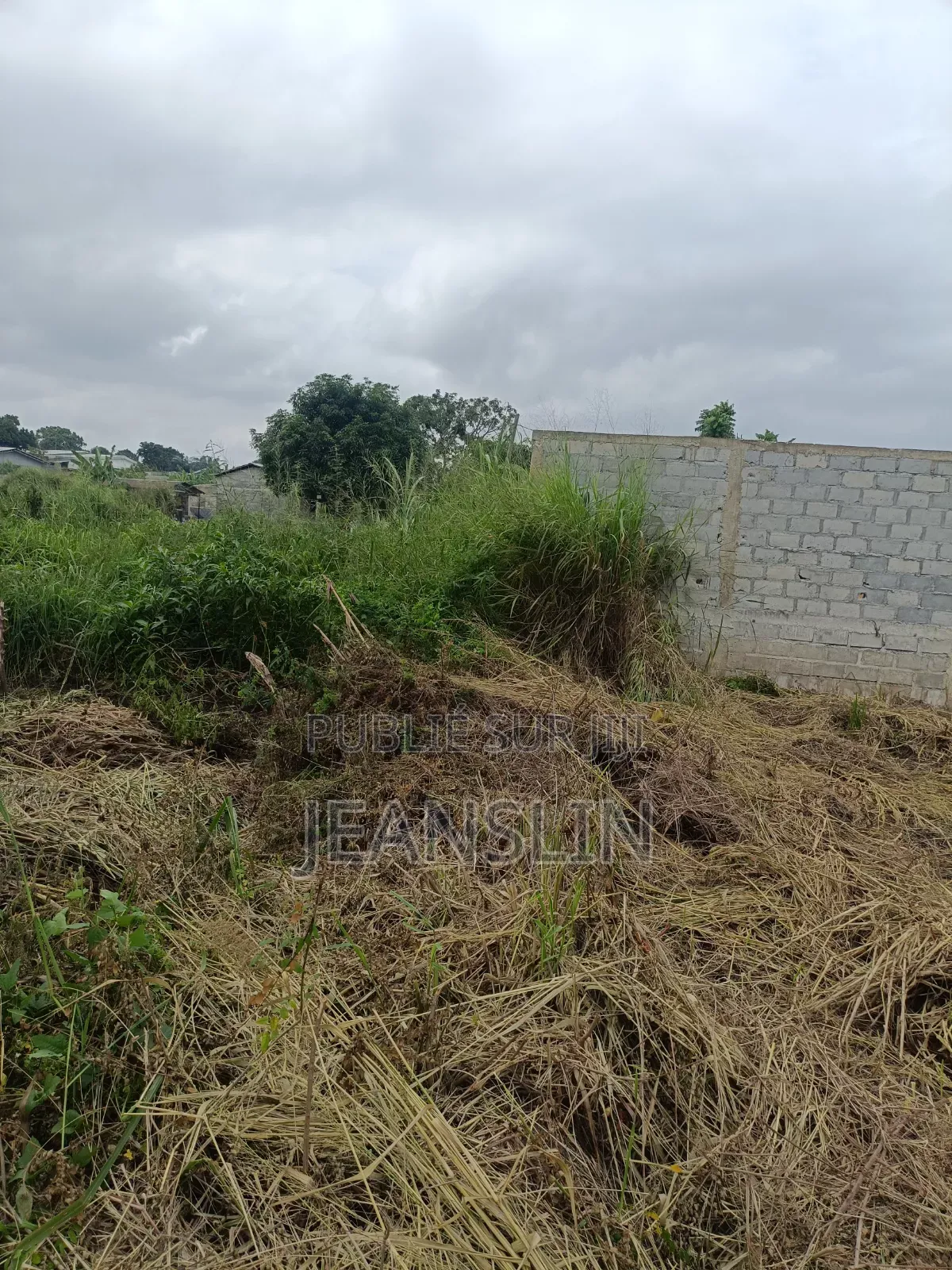 Trois(3) Parcelles Jumelles Avendre Au Quartier Ngoyo Ex Péage