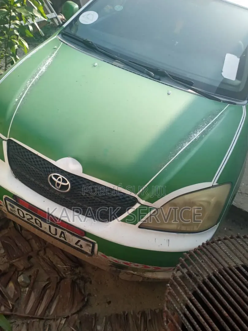 DR DR5 2016 Vert