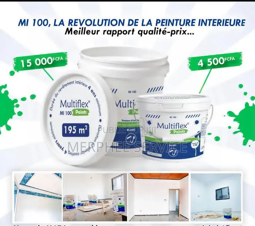 Montage Et Démontage : D'échafaudage Et Peinture En Btp