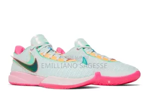 Chaussure Lebron 20