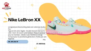 Chaussure Lebron 20