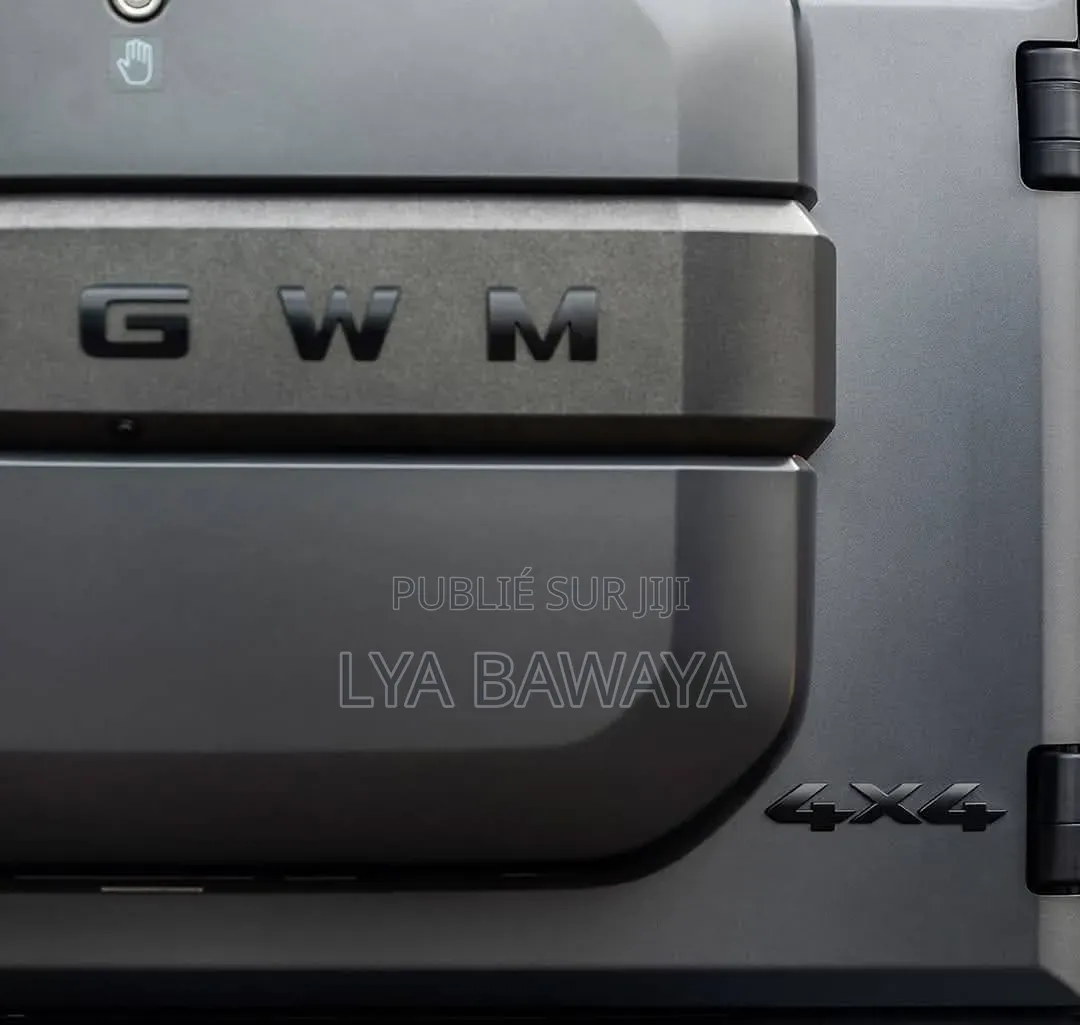 Nouveau Haval H9 2025 Gris