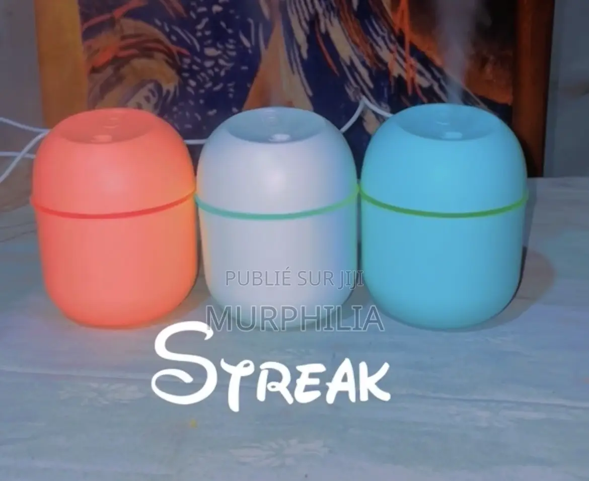 Mini Purificateur d'Air Et Diffuseur d'Arômes Portable