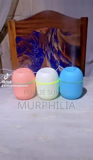Mini Purificateur d'Air Et Diffuseur d'Arômes Portable