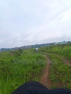 70 Parcelles Jumelees