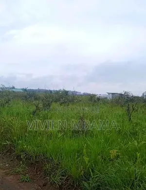 70 Parcelles Jumelees