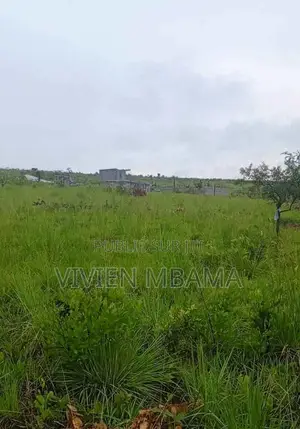 70 Parcelles Jumelees