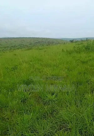 70 Parcelles Jumelees