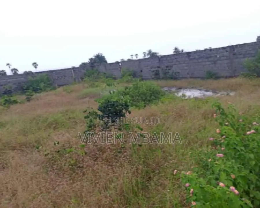 Parcelle Proche De La Plage