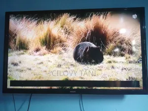 Television