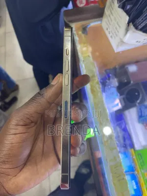 Nouveau Apple iPhone 12 Pro Max 256 GB Blanc