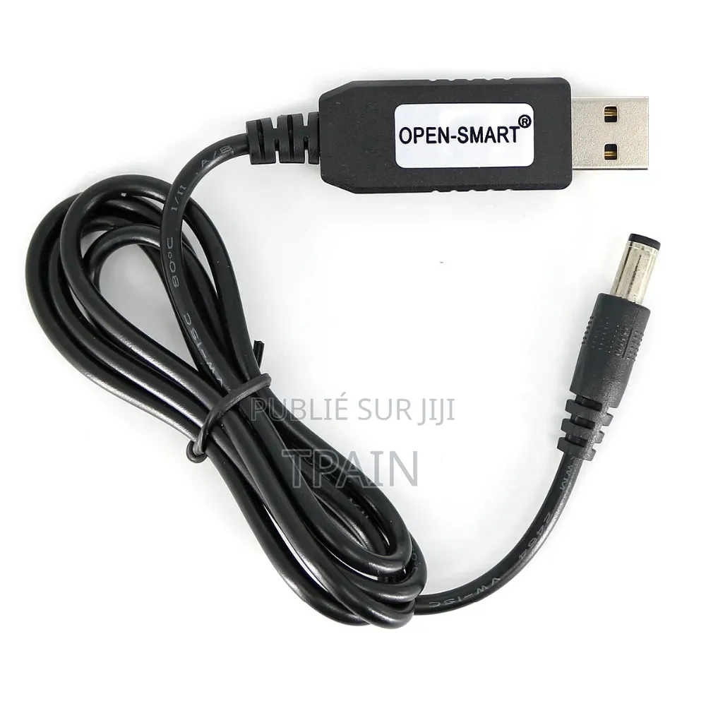 Power Bank Et Son Câble Usb Dc 12 Volte