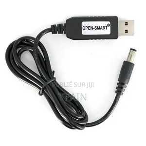 Power Bank Et Son Câble Usb Dc 12 Volte