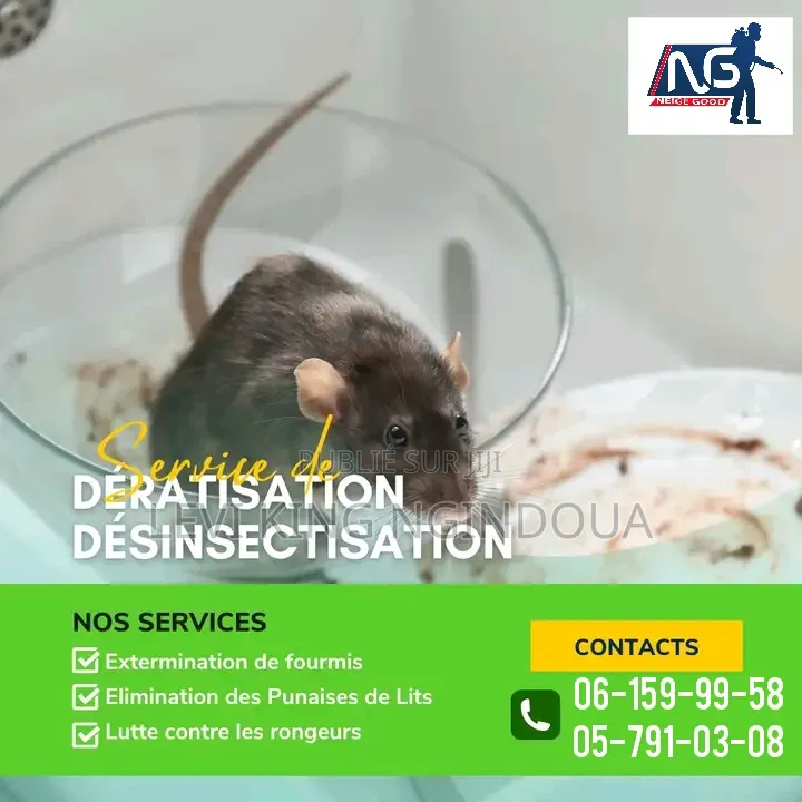 Désinsectisation De Vos Locaux