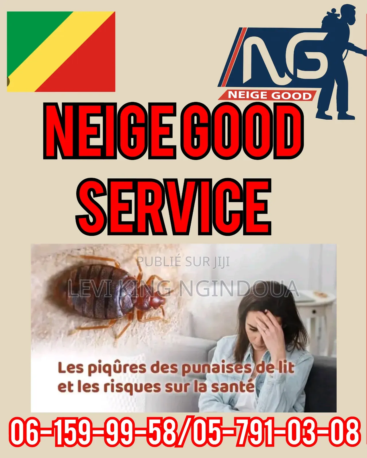 Désinsectisation De Vos Locaux