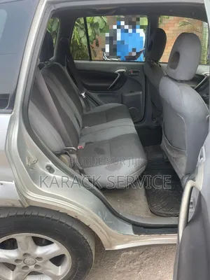 Toyota RAV4 2019 Gris