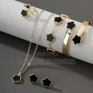 Ensemble Colliers Inoxydable
