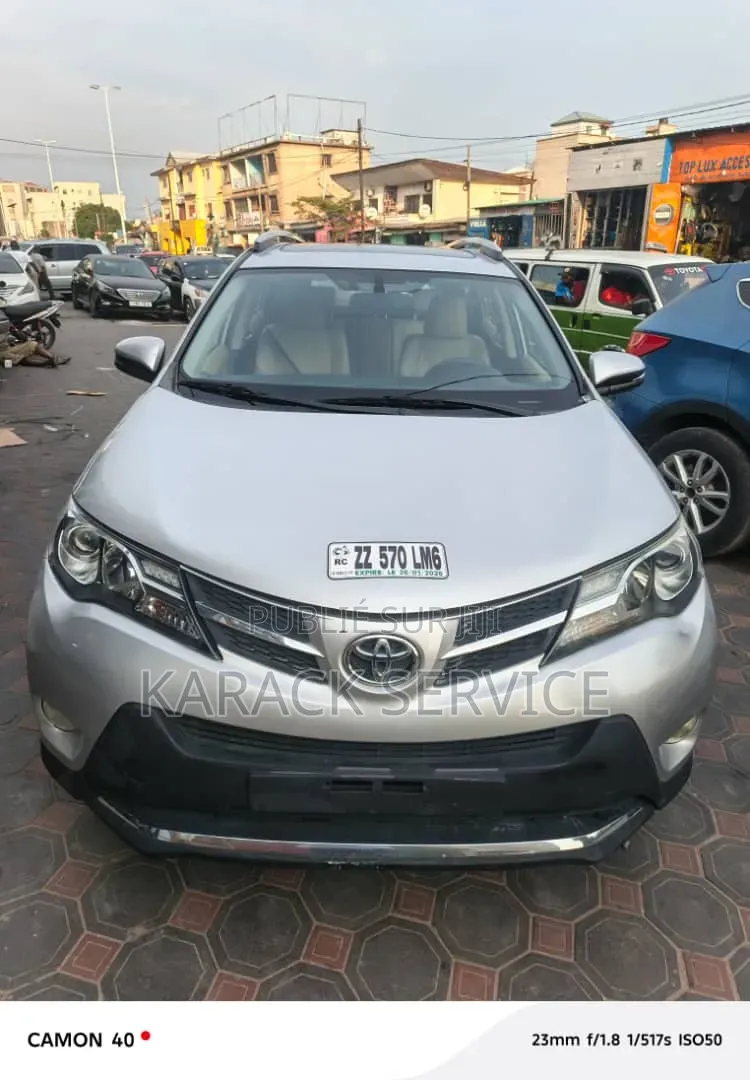 Toyota RAV4 2023 Gris
