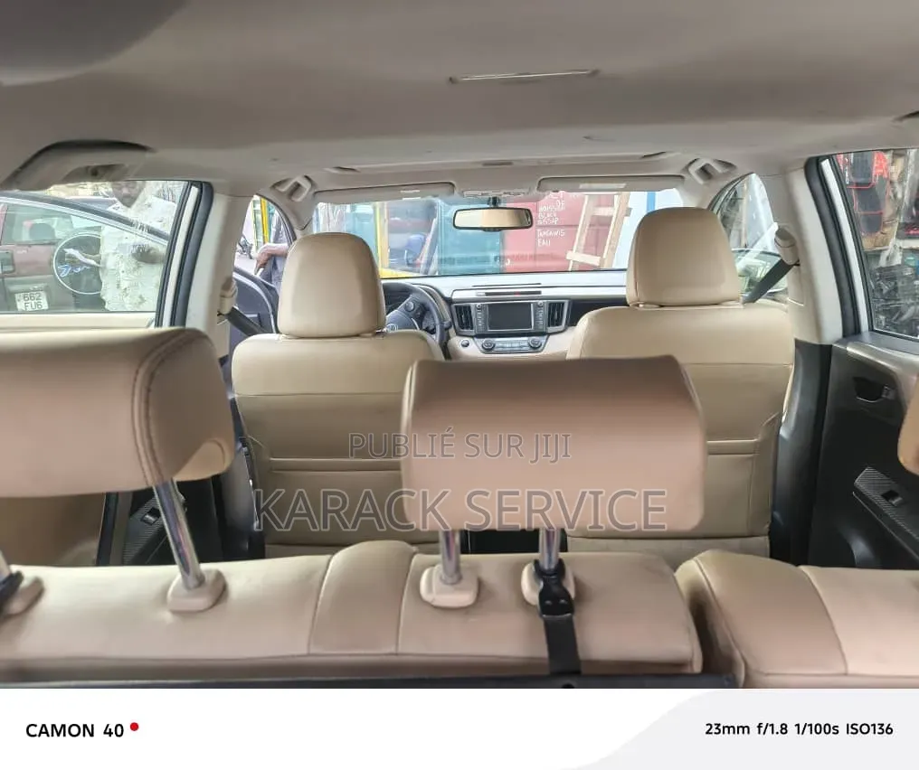 Toyota RAV4 2023 Gris