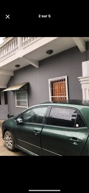 Toyota Lame 2009 Vert