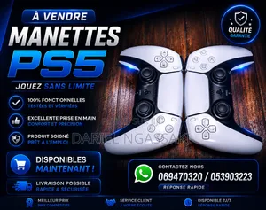 Je Vends Deux Manettes De Ps5