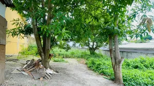 Parcelle À Vendre Au Quartier Tchimbamba