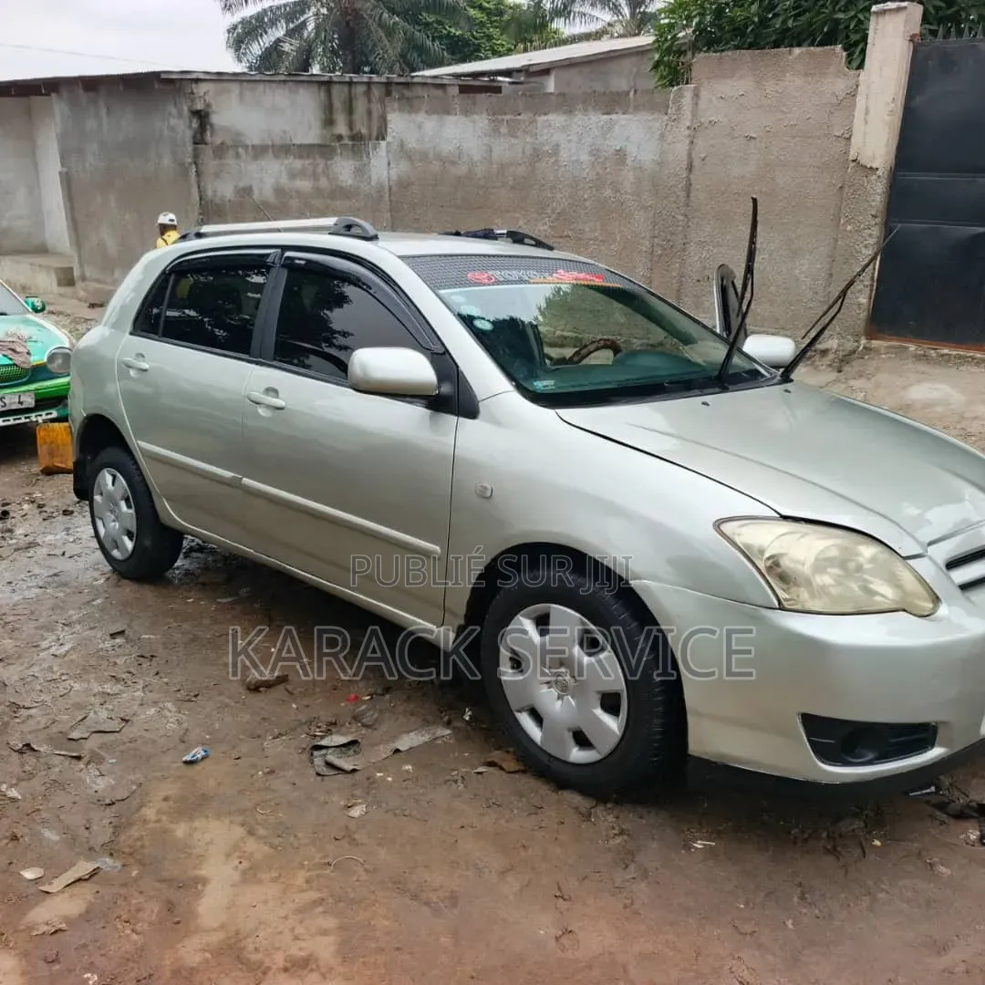 Toyota Corolla 2019 Gris