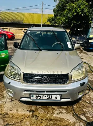 Toyota RAV4 2005 Gris