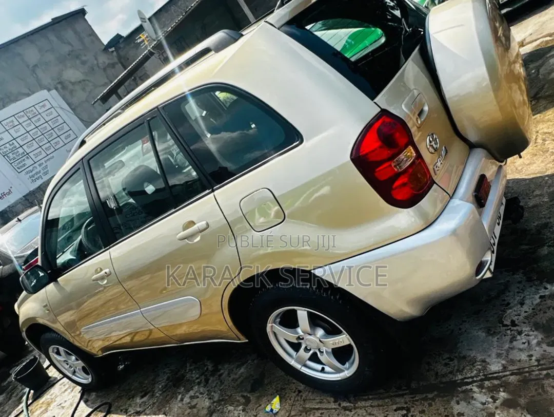 Toyota RAV4 2005 Gris