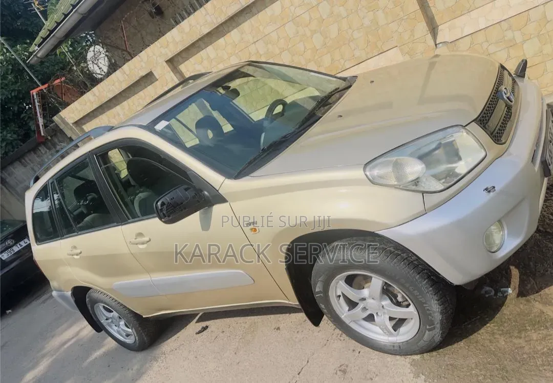 Toyota RAV4 2005 Gris