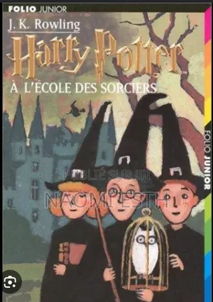 Harry Potter a l'Ecole Des Sorciers