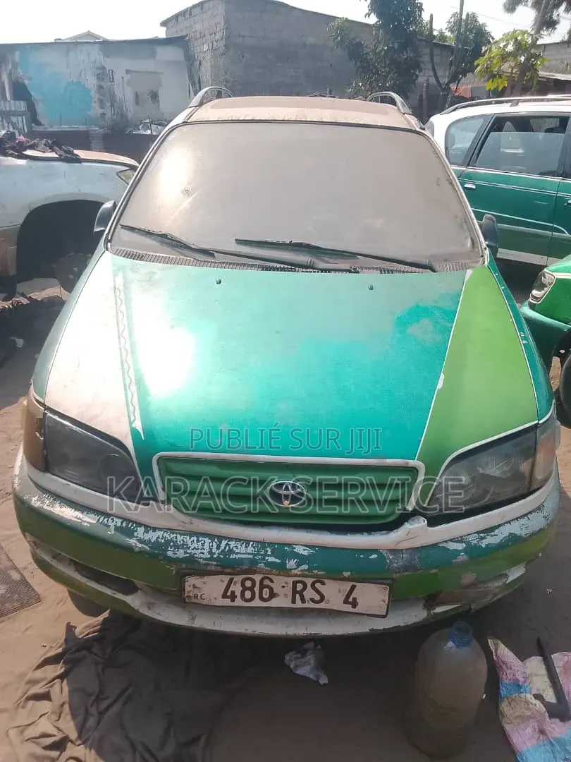Toyota Picnic 2019 Vert