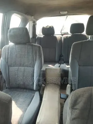 Toyota Picnic 2019 Vert