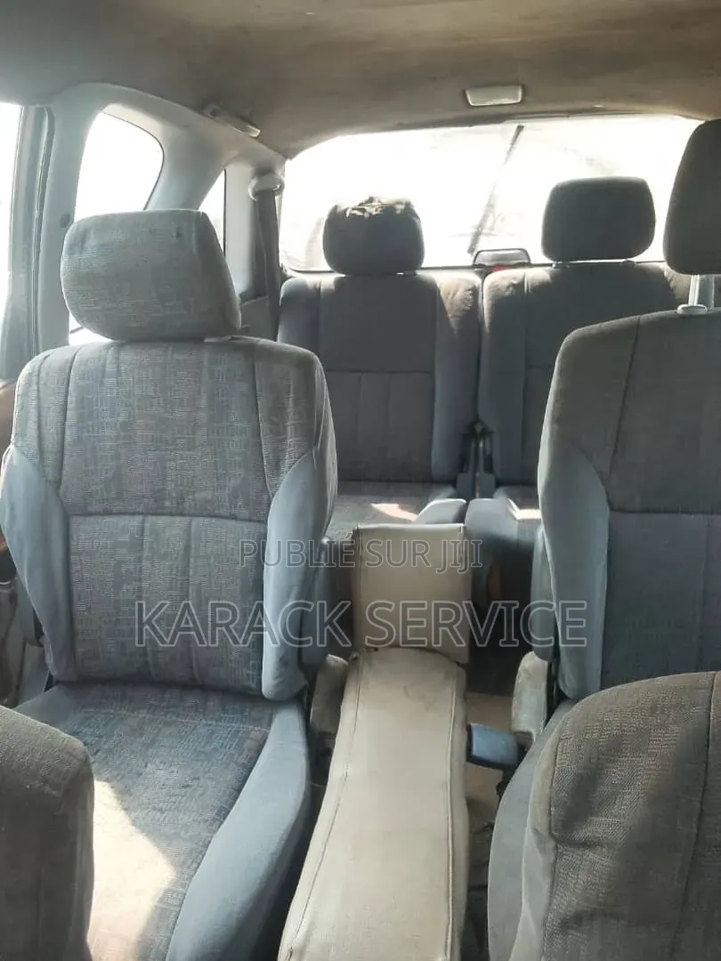 Toyota Picnic 2019 Vert