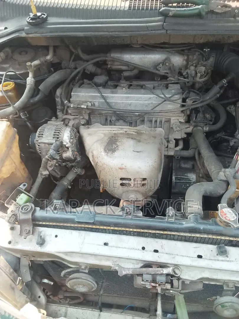 Toyota Picnic 2019 Vert