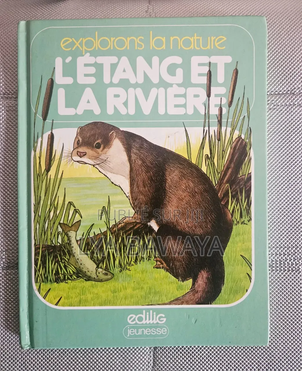 Livres Éducatif Petite Enfance, Prix Unitaire Sur Bzv.Vente en Ligne