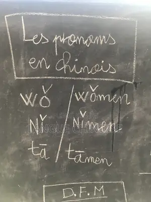 Cours De Chinois en Ligne