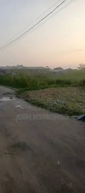 Kivuama Car