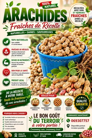 Arachides De Chez Vous