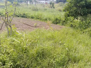 Terrain Vide