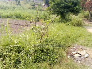 Terrain Vide